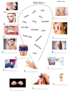 Body parts vocabulary worksheet 3 linked to PDF