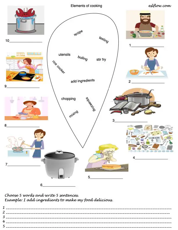 Basic Cooking Terms Worksheet Answers